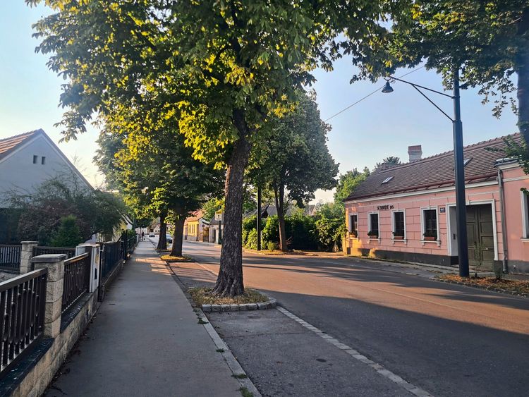 Straße bei Sonnenuntergang mit Gehweg, Bäumen und Häusern. Rechts ist ein pinkfarbenes Haus mit Fenstern und Blumenkästen, links stehen Zäune und weitere Gebäude.