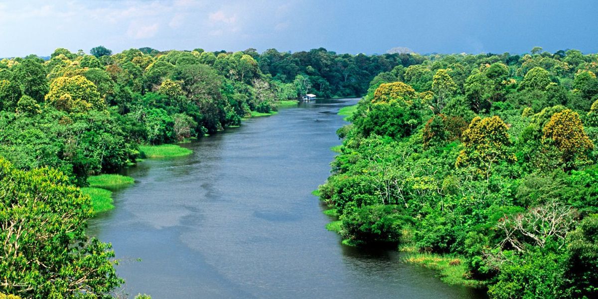 Indigene fordern mehr Schutz für Amazonaswald - Vimarsana News