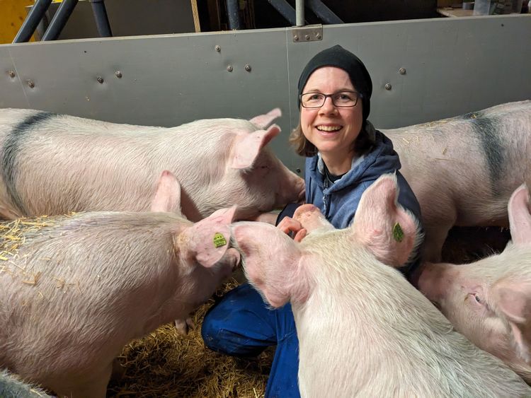 Sara Hintze inmitten von fünf Schweinen
