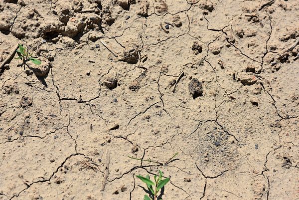 Wird-der-Klimawandel-zu-mehr-Migration-nach-Europa-f-hren-