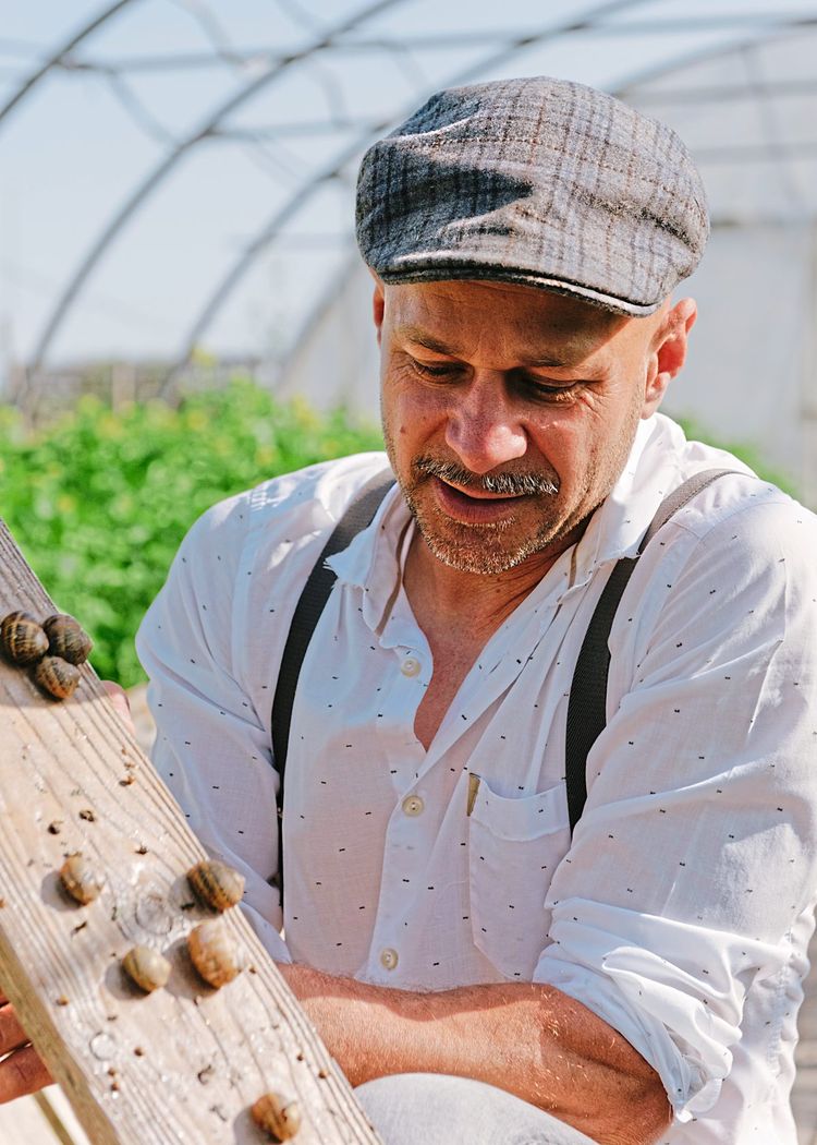 Schneckenfarmer Andreas Gugumuck hält ein Holzbrett in den Händen, auf denen mehrere Weinbergschnecken kriechen. 