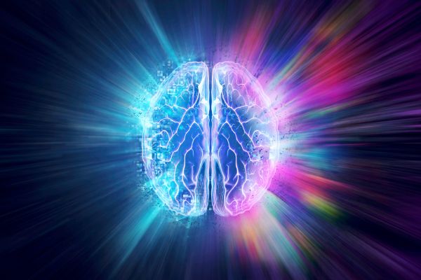 Wie-Mini-Gehirne-aus-einem-Wiener-Labor-die-Gehirnforschung-revolutionierten