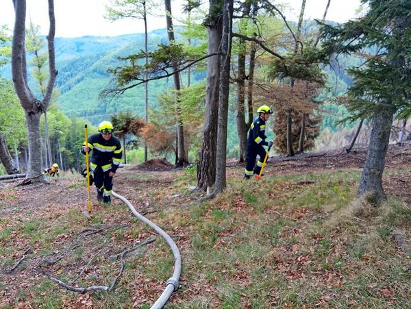 Warnung-vor-erheblicher-Waldbrandgefahr-wegen-Trockenheit-L-scharbeiten-nahe-Graz