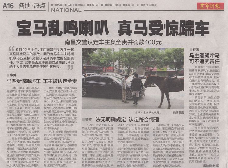 Ein Sack Reis fällt in China um oder: Pferd tritt BMW