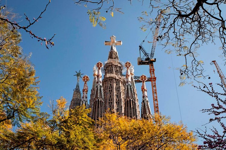 Die Passion-Fassade der Sagrada Família in Barcelona, Spanien, ragt in den Himmel, gekrönt vom Kreuz des Turms Jesu Christi. Umgeben von blühendem Frühlingslaub, sind Baukräne sichtbar, während die Konstruktion der Basilika ihren höchsten Punkt erreicht hat. Der Himmel ist klar und blau.