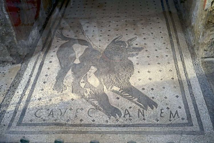 Mosaik in Pompeji zeigt einen Hund und den Spruch 