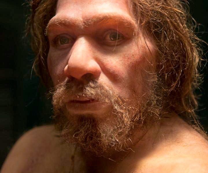 Warum Ist Der Neandertaler Ausgestorben Forscher rätseln schon lange, warum Homo neanderthalensis ausgestorben