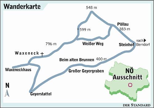 Augenkontakt Mit Dem Konig Urlaub In Niederosterreich Derstandard At Lifestyle