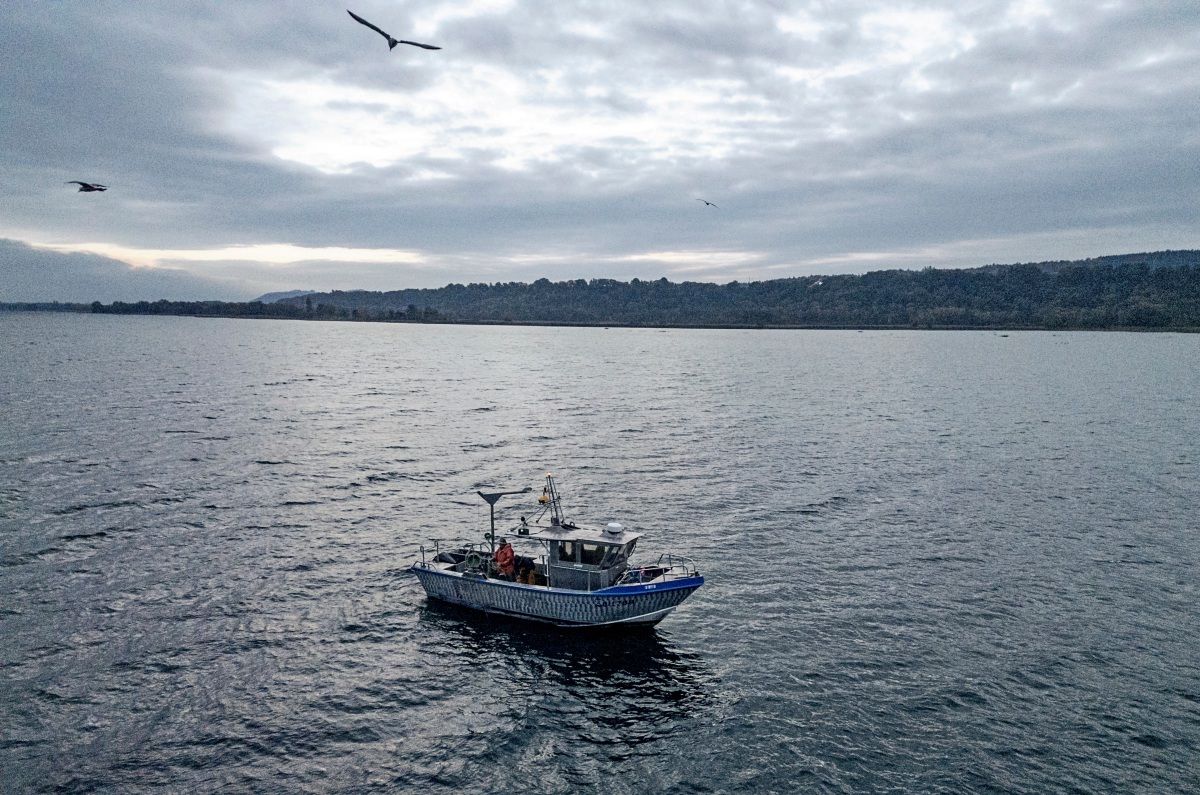 Ein Fischerboot auf dem Neuenburgersee bei Portalban, Schweiz, mit zwei Personen, die Netze handhaben. Möwen fliegen darüber, und am Horizont ist eine bewaldete Küste unter bewölktem Himmel zu sehen.