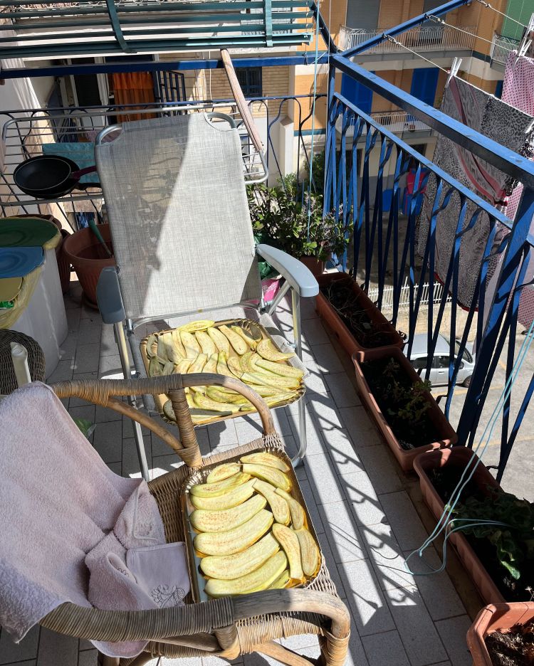 Dünne Scheiben Melanzani trocknen am Balkon