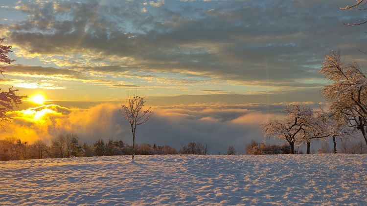 Sonnenaufgang über dem Morgennebel mit Schnee