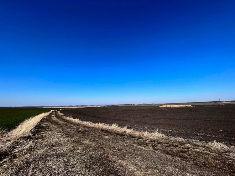 Eine weite, offene Landschaft unter klarem, strahlend blauem Himmel. Links sind grüne Felder, rechts brachliegende, braune Äcker. Ein schmaler Feldweg verläuft diagonal durch das Bild.