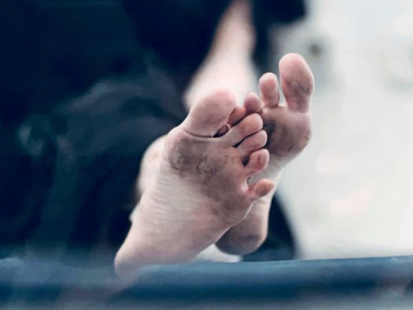 Die-Autorin-FALKNER-ber-Krieg-als-Menschenm-hle-und-Menschenfresserei