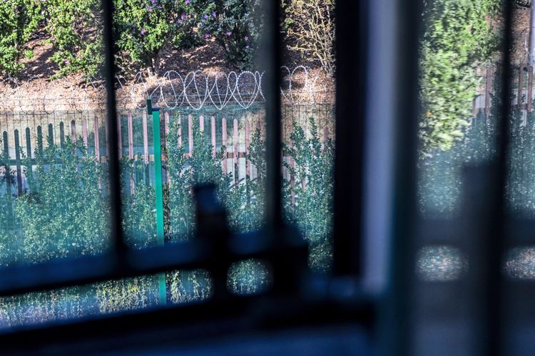 Blick durch ein vergittertes Fenster auf einen bewachsenen Außenbereich mit Zaun und Stacheldraht.