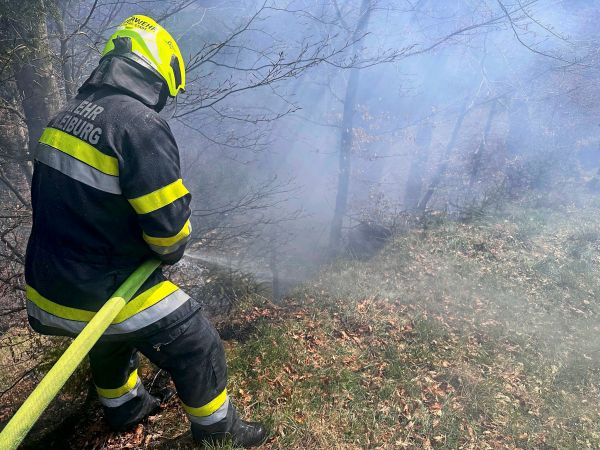 Heuer-wurden-bereits-131-Waldbr-nde-registriert
