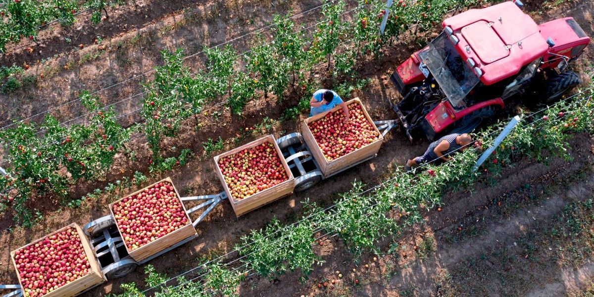 Landwirtschaft verursacht Pestizidcocktail im Schlafzimmer