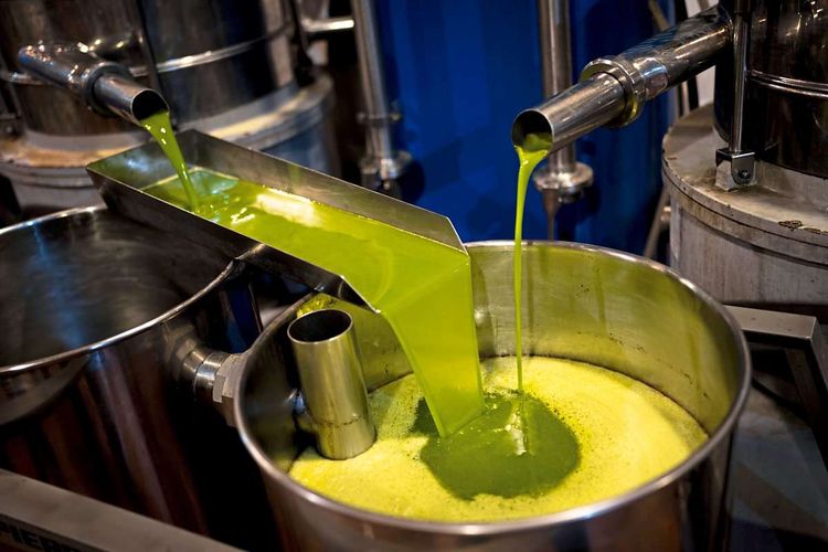 Olivenöl Produktion