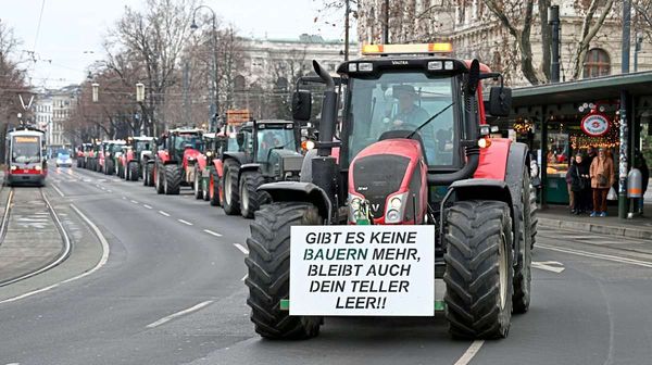 bauernprotest-in-wien-man-muss-zu-denen-gehen-die-sich-am-st-rksten-f-hlen