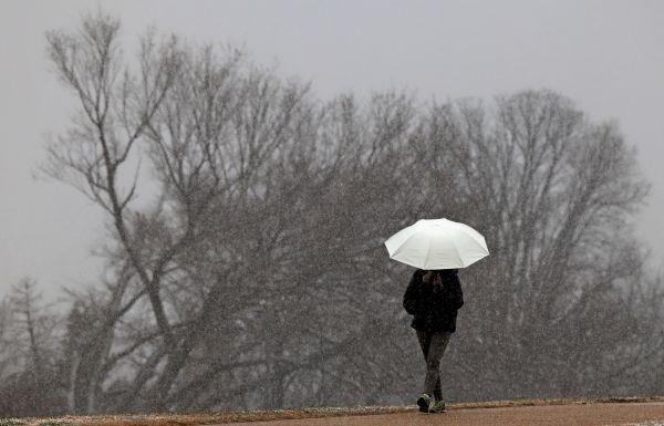 Wohnschirm-Aktion-bis-2029-verl-ngert