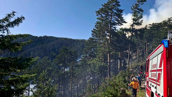 Waldbrand-in-Unterk-rnten-sorgte-f-r-Gro-einsatz-der-Feuerwehren