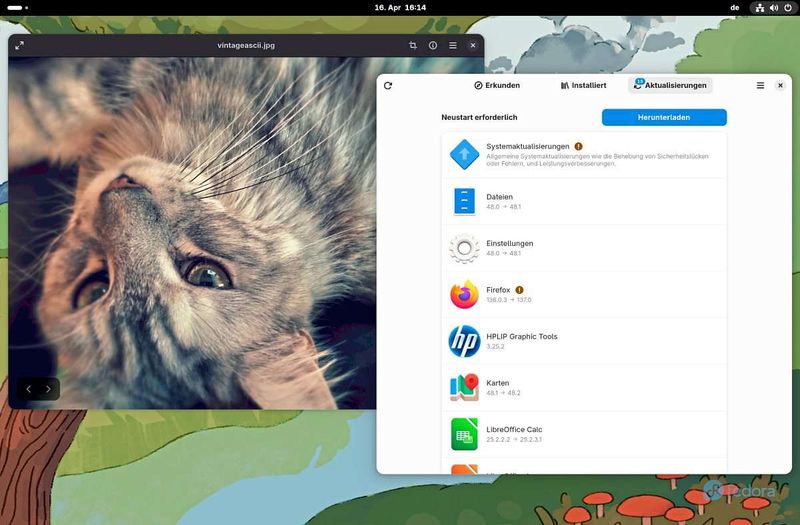 Fedora 42: Gleichberechtigung beim Linux-Desktop, HDR und ein neuer Installer