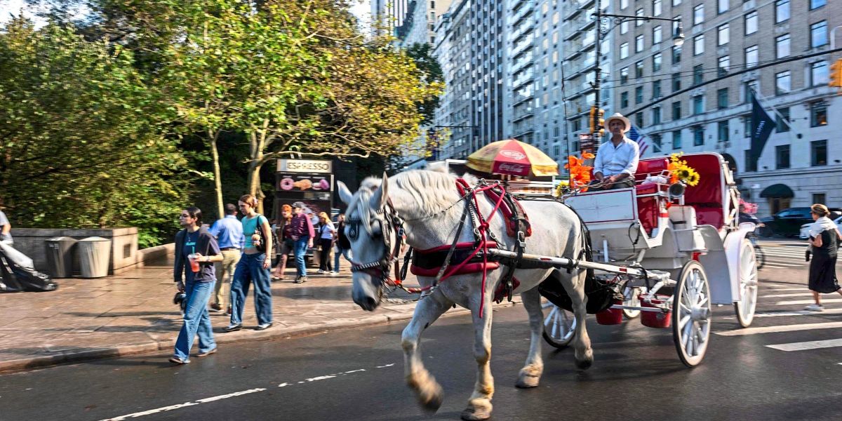 New York Bans Horse-Drawn Carriages from Central Park