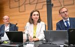 Zadić: Keine Staatsanwaltschaft hätte gerne Pilnaceks Tod untersucht, "Krems hat's erwischt" 427b2168 8874 4520 9b95 23106454cc09
