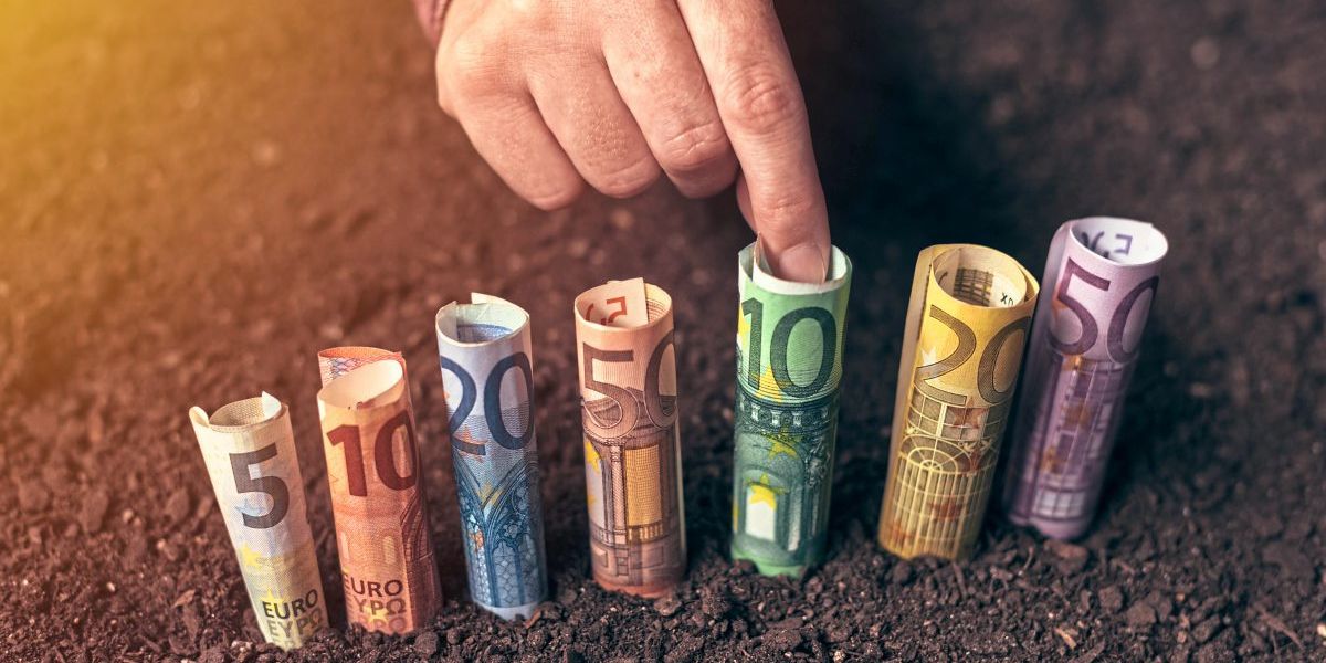 Agrarförderung: Wie wichtig sind Subventionen für die Landwirtschaft