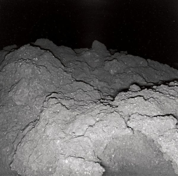 Foto: Jaumann et al./Science