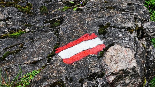 -sterreich-w-chst-auch-fl-chenm-ig-aber-warum-
