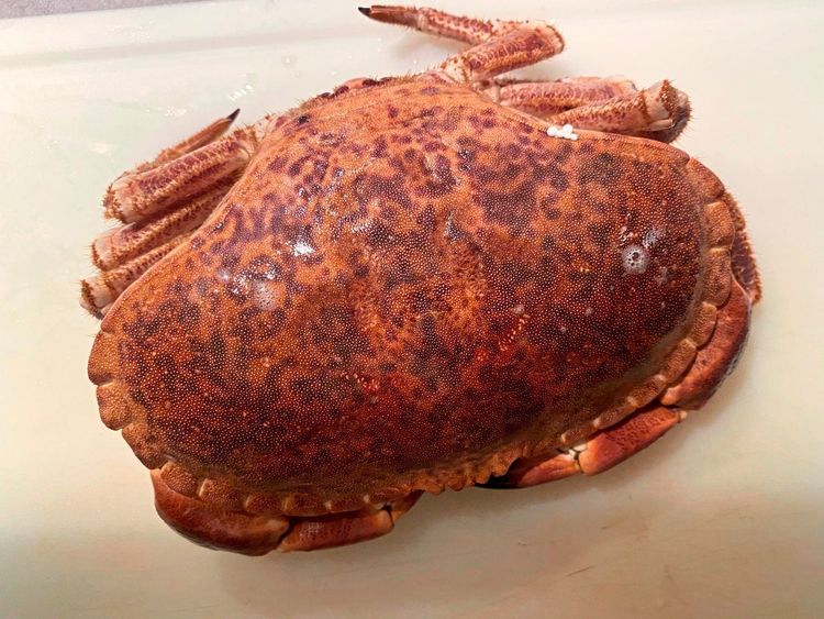 Singapur Chili Crab