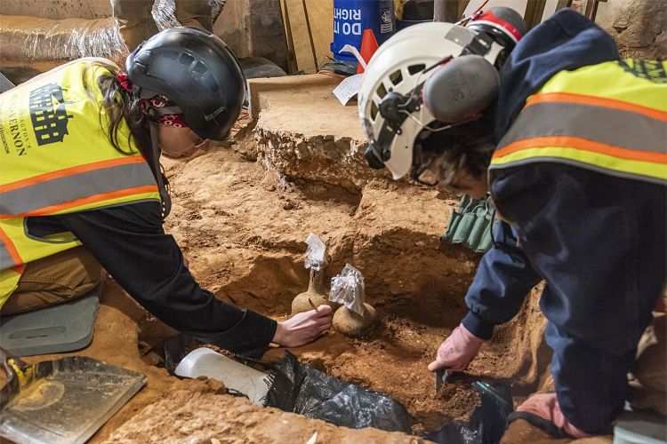 Zwei Glasflaschen werden von ArchäologInnen in Mount Vernon freigelegt