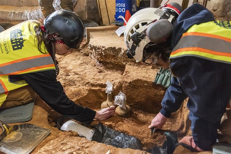 Zwei Glasflaschen werden von ArchäologInnen in Mount Vernon freigelegt