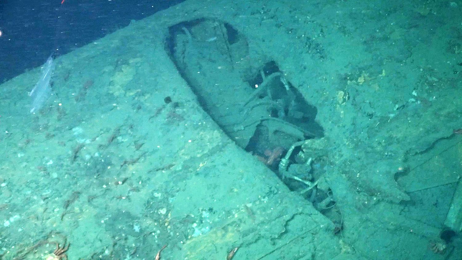 Voraussichtlicher Jahresbruttoarbeitslohn Aus Dem Ersten Dienstverhältnis Erstaunlich gut erhaltenes U-Boot aus dem Ersten Weltkrieg im Pazifik