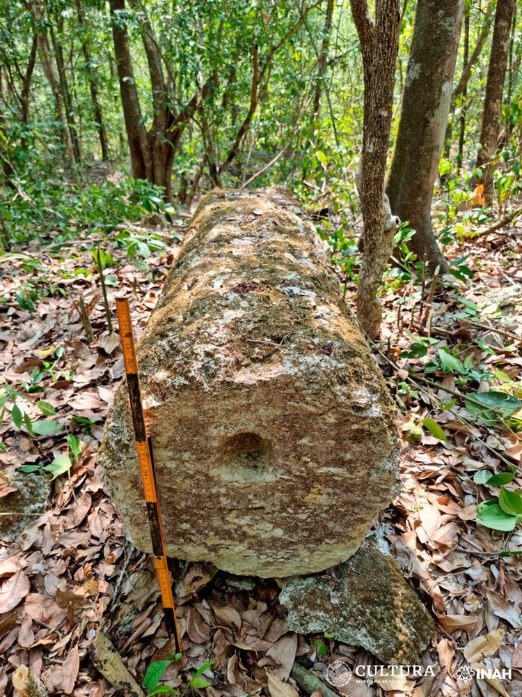 Moosbewachsene Steinsäule der Maya liegt umgekippt im Wald