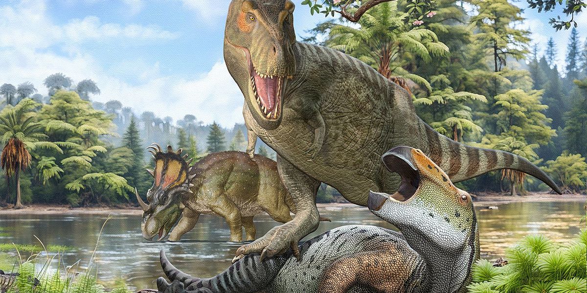 Where the T. rex really came from and why it was so huge