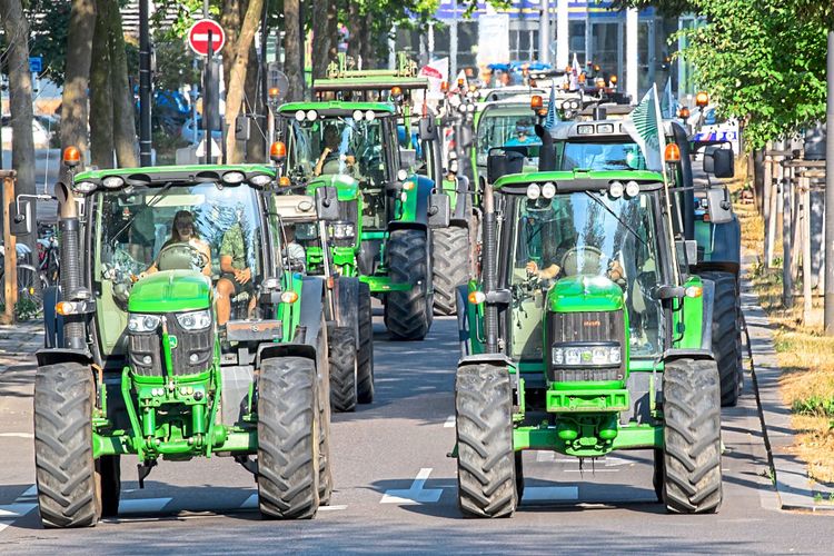 Um gegen das Renaturierungsgesetz zu protestieren, fuhren Bauern am Dienstag mit mehreren Dutzend Traktoren vor.