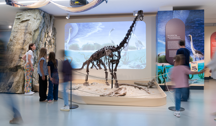 Menschen betrachten ein Skelett eines Europasaurus in einer Ausstellung im Haus der Natur Salzburg. Im Hintergrund ist eine Wand mit Illustrationen und Texten zur Inselwelt der Zwergdinosaurier.