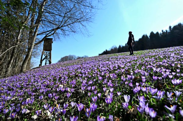 M-rz-war-in-sterreich-berdurchschnittlich-warm-und-trocken
