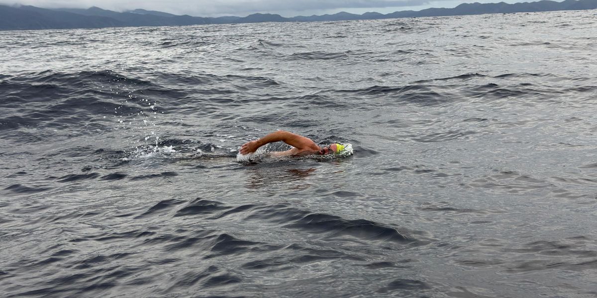 "Gefährliche Strudel, brutal viele Quallen": Extremschwimmer ...