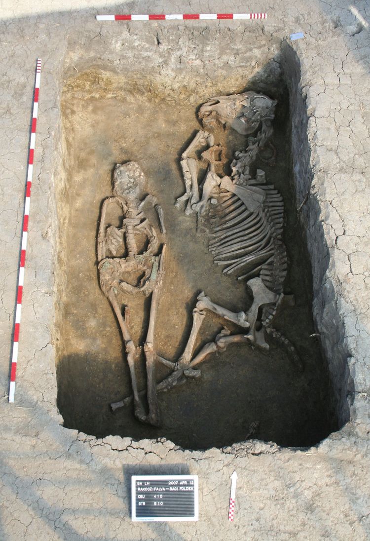 Grab mit dem Skelett eines Menschen und eines Pferds.