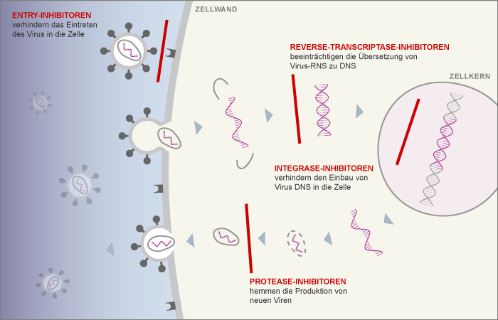 Aids: Geschichte eines medizinischen Erfolgs - Erkrankungen & Therapie ...