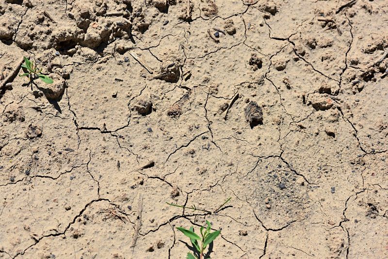 Wird der Klimawandel zu mehr Migration nach Europa führen?