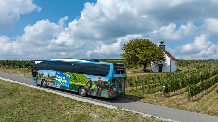Ein Autobus der an Weinreben vorbeifährt.
