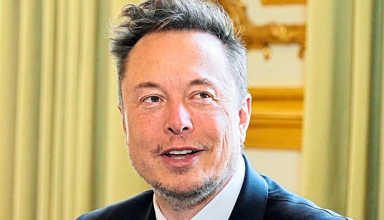X-Besitzer Elon Musk