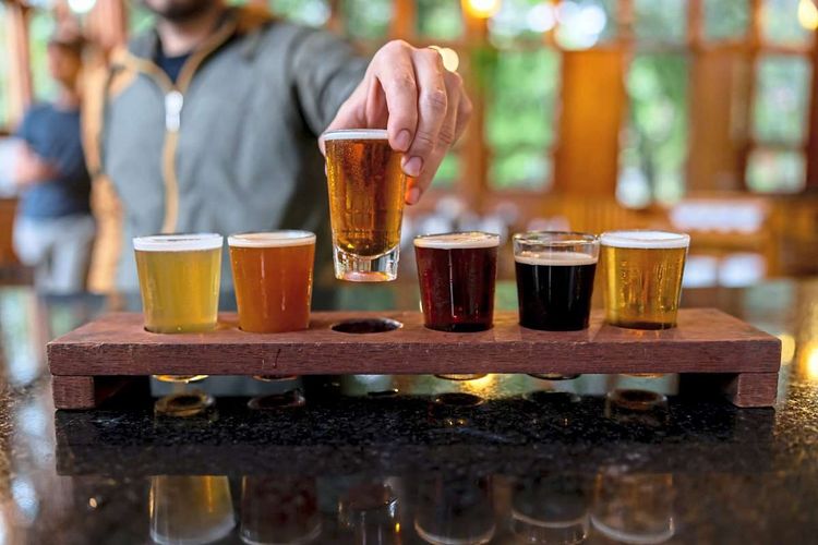 sechs kleine Biergläser mit Bier in unterschiedlichen Farbtöten, eines wird von einer Hand gegriffen
