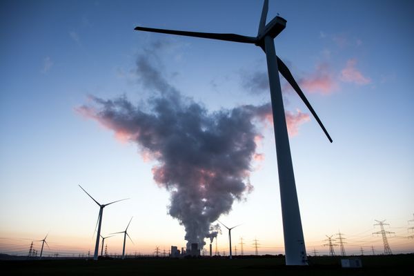 Foto: APA/dpa/Federico Gambarini