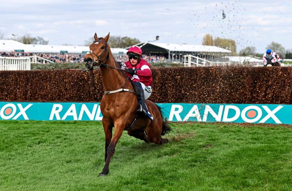 Pferd-bricht-sich-das-R-ckgrat-l-uft-als-Sieger-ins-Ziel-und-wird-eingeschl-fert