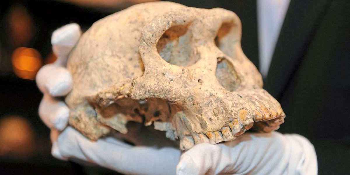 Zähne verraten, wie stressig das Leben vor 10.000 Jahren war