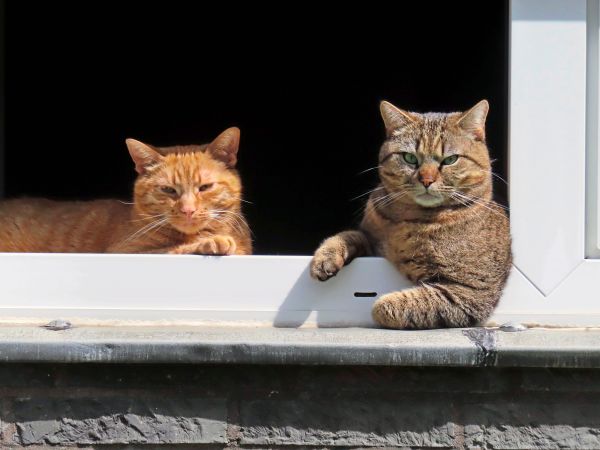 Es-kommt-teils-sonniges-Hochdruckwetter-Dauerfrost-in-der-Osth-lfte